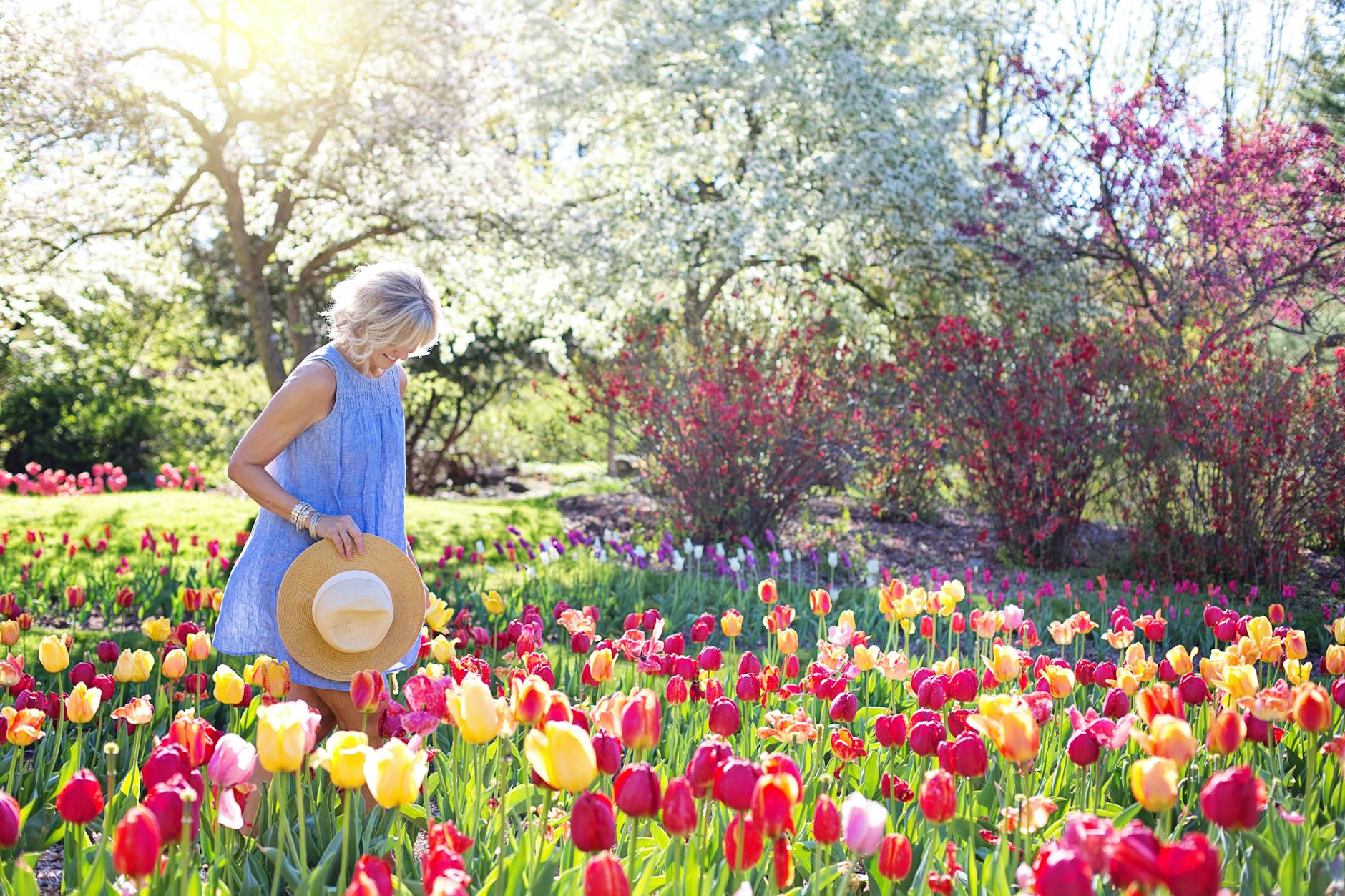 woman walking on bed of tulip flowers